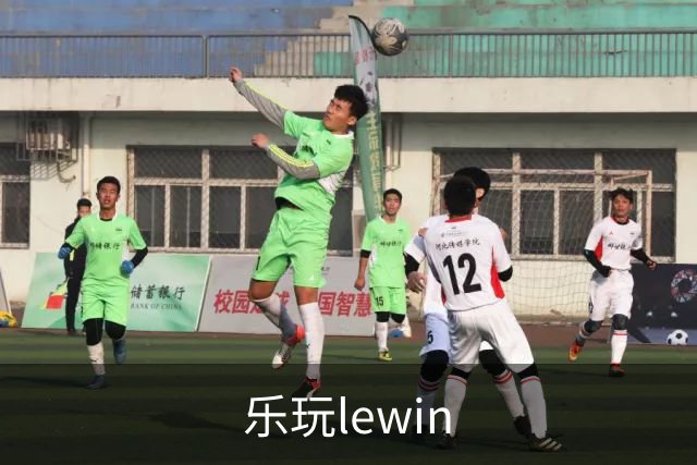 乐玩lewin公司介绍